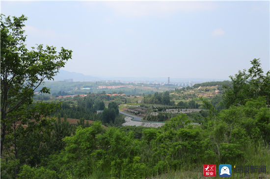 步道|徒步分山健步道，品味远离城市喧嚣的“世外桃源”