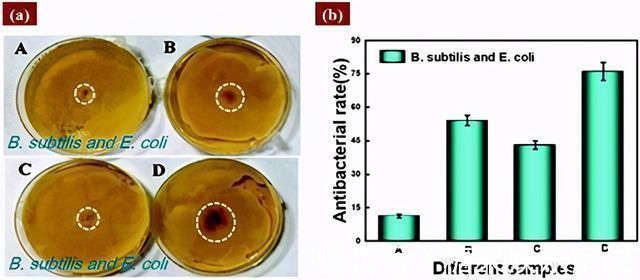 自愈|双网络水凝胶!超强自愈、保水、抗菌、粘附,专为透皮贴剂设计