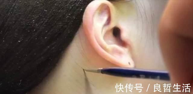 肖像之相&他画了一幅水中少女,放大5倍,专家:冷军败了