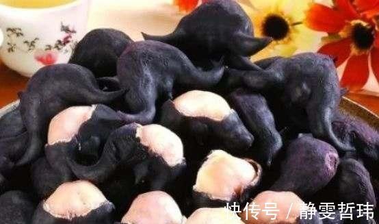 宁愿饿着,也千万别碰这4种“蔬菜”,寄生虫成“堆”,早知早受益