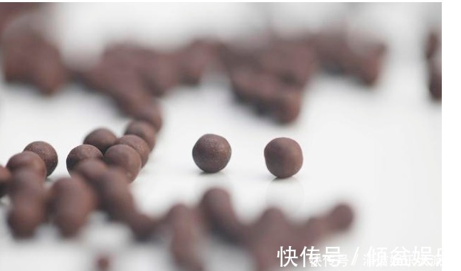 区别|健脾丸、归脾丸、人参健脾丸和人参归脾丸,四款药有什么区别