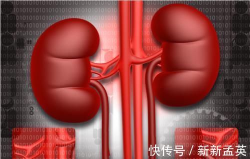 慢性肾脏病|肾病这3个“指标”都表现不错，尿毒症风险小，不用提心吊胆