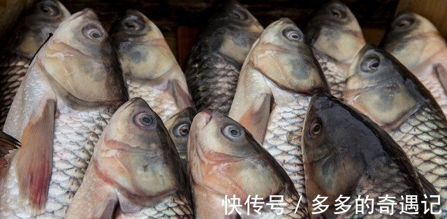 腌腊鱼直接腌你错了,多加这个步骤,腊鱼鲜香美味更好吃!