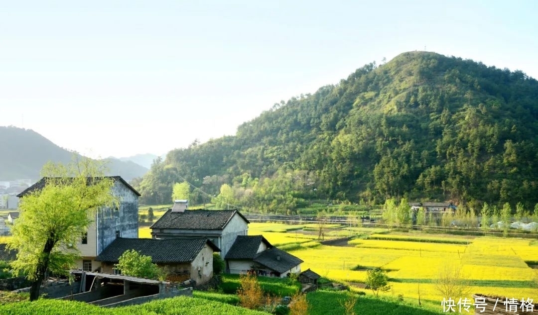 诗里乡村初夏美