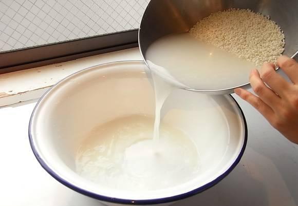 养花浇2种“肥水”，越养越茂盛，开花朵朵艳！