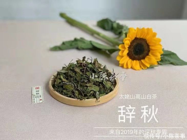 铝箔袋|白茶晒一晒，防潮又提香？别傻了，再这么存白茶就废了