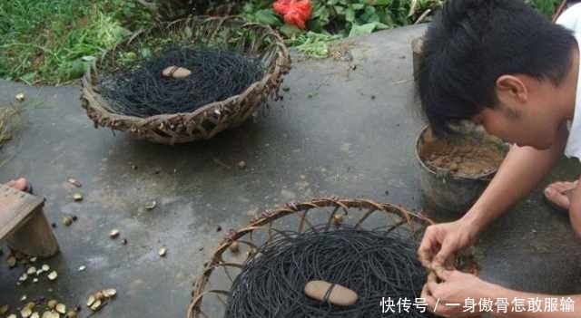 农村小伙“懒方法”钓鱼，一晚收获这7只巨物