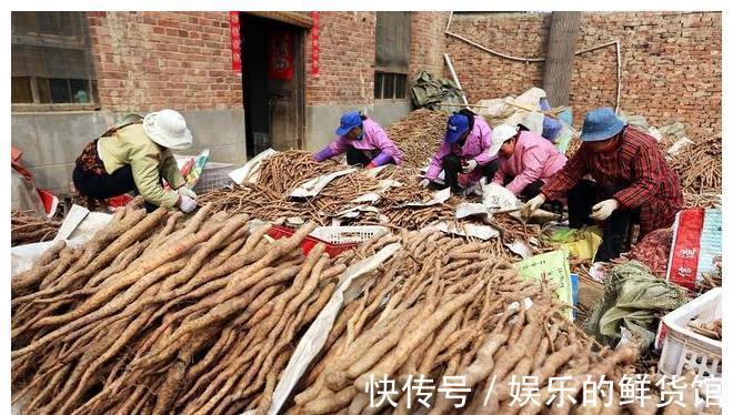 麻山药|山药大量上市，关于山药的小秘密，你应该知道，请告诉身边的朋友