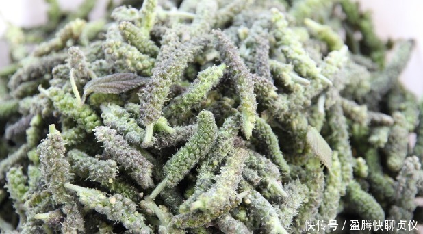 春天里最好吃的9种野菜,再不吃,过了这个月,就要等一年才能有