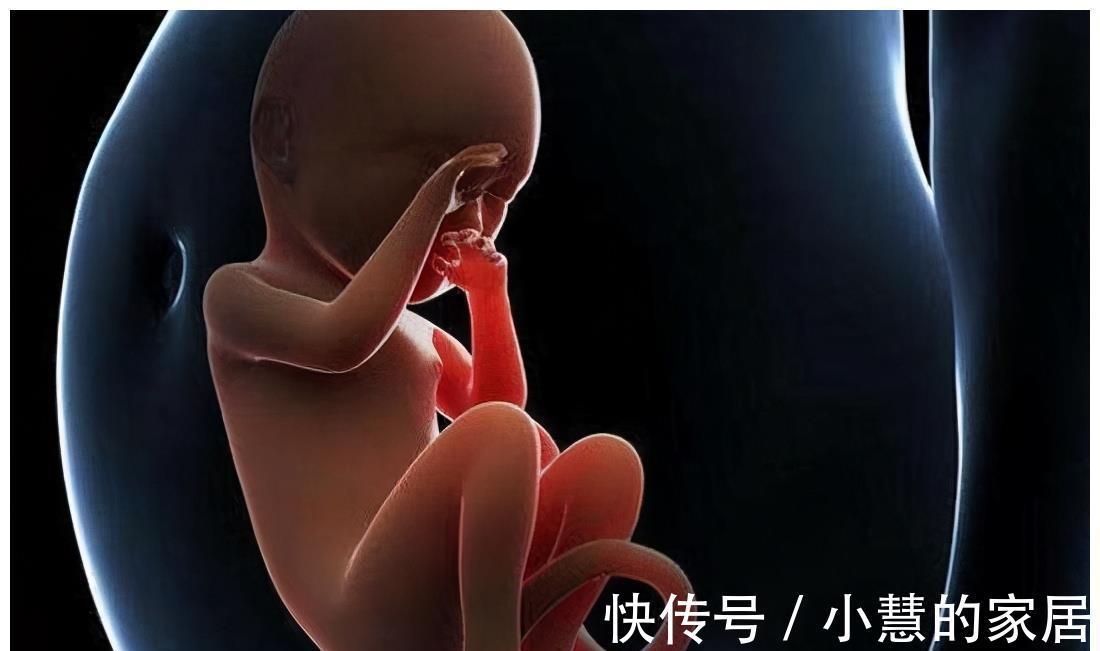 娘胎|孩子的“性格”从娘胎里就已成型,家长从小细节处,能窥探一二