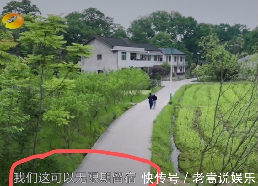 黄雅莉|《向往》女嘉宾凌晨四点才睡,做了一件让何炅很感动的事