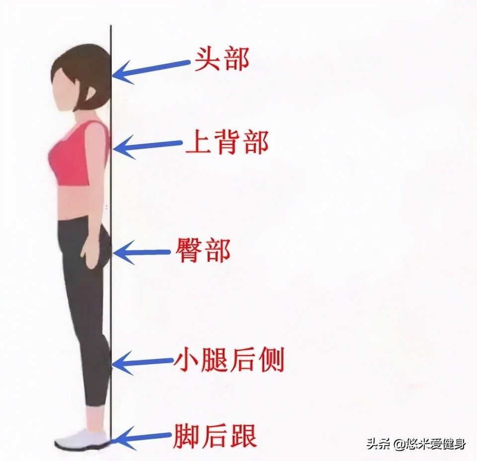 墙面|每天晚上靠墙站立，可以帮助减肥吗？