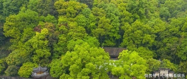 以“奇山异水”著称，因一幅画而闻名，这里是富春江最美的一段