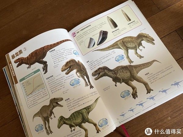 好书！如水妈妈推荐好书 篇三十一：孩子对恐龙感兴趣？我用这8套书影音，满足孩子对恐龙的求知欲