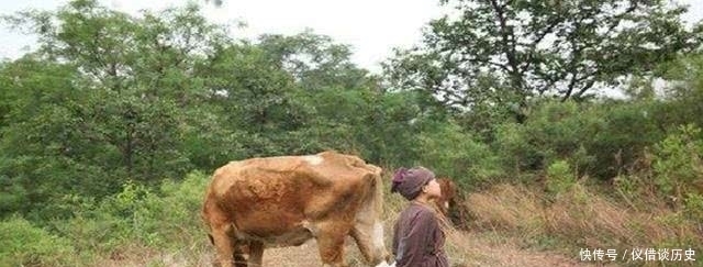 朱元璋|曾让朱元璋放牛的地主刘德,朱元璋当上皇帝后,这个地主什么下场?