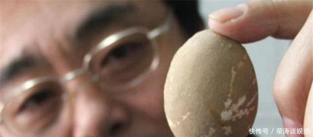 古墓葬|考古队怕的是古墓中的蛋