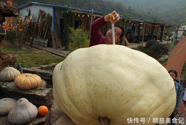 个体 为什么把种子送上太空再下来种,种出来的东西比较大?