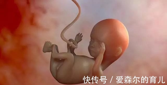 孕妈们|原来胎宝宝的性格,妈妈也有“决定权”,怪不得每次胎动都不一样