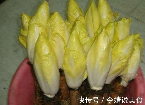 花盆|路边捡个“废根”,扔花盆里,2个月长成高价盆栽,一斤卖80元