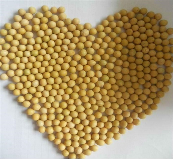 女人|女人常吃七种食物,唤醒雌激素还保护子宫,让美丽永远伴随