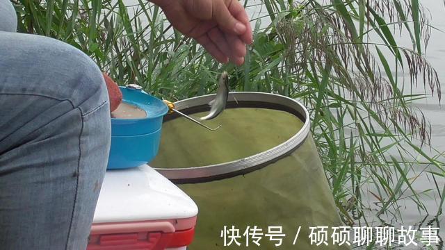 为了几条便宜鱼，硬生生把自己送进了班房，钓鱼人的天堂遭破坏