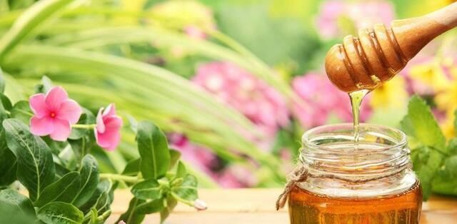 水杨酸|生根水还买?4种东西放水里大白根呼呼冒,扦插特好用!