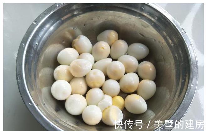 鹌鹑蛋|立秋后，1种鸟蛋要多吃，醇香入味更营养，滋补防燥家人爱