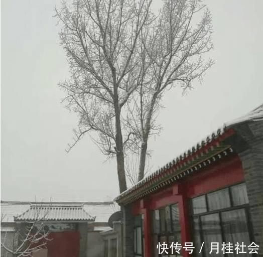 健康食品|农村房子土?那是没见过我改造的农家别院,土豪出300万我都不卖