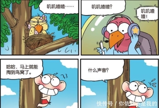 路人甲|爆笑校园：包子变“天才狗狗”获诺贝尔大奖！么么的“蛋糕命案”