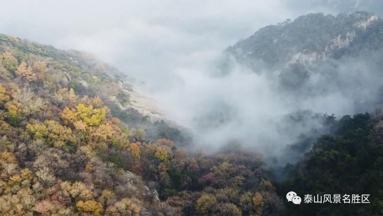 摄影|来泰山的理由，你中了几个？