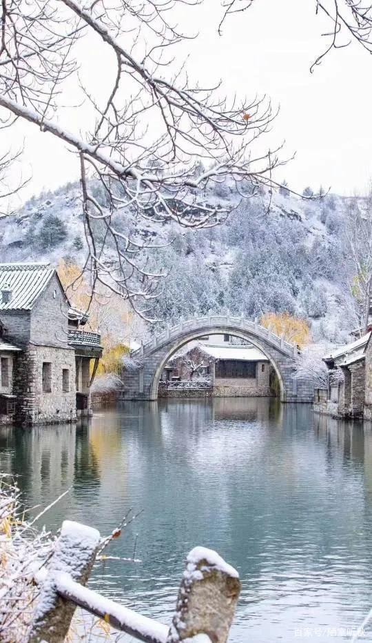 落下|初冬那飘飘落下的雪花