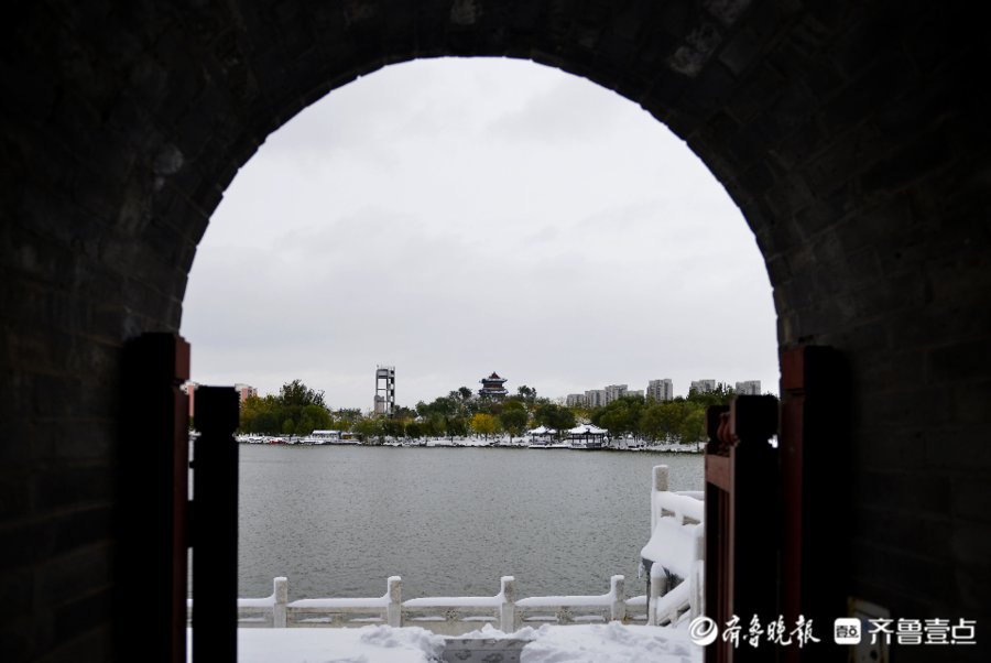 德州平原县|雪景丨德州平原县琵琶湾公园里白雪和绿树相映成趣，美得不得了