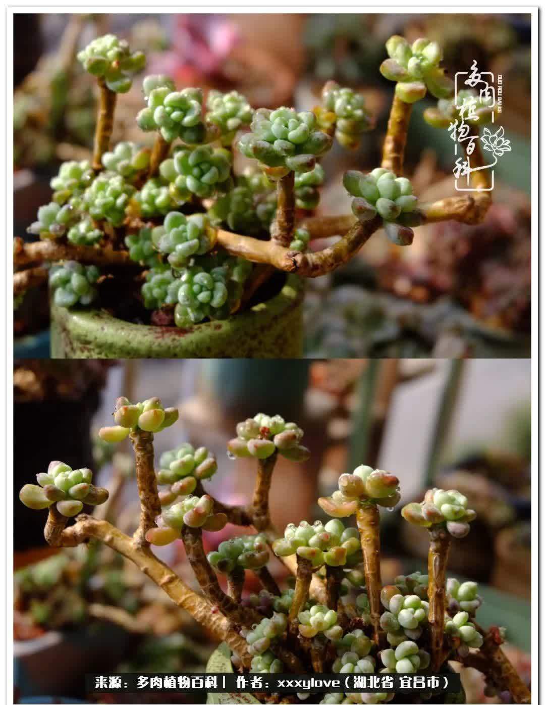 时光匆匆,一闪而逝,这世间万物的美,都值得被记录!