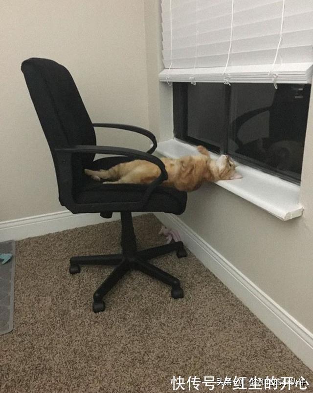 |网友分享的25个奇怪而搞笑的事情,你看过几件?