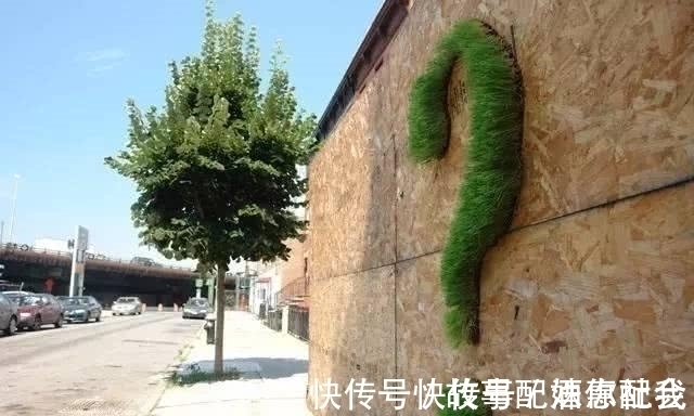 啤酒!他用酸奶、啤酒、苔藓把动物养在墙上,14天后的画面让人惊讶