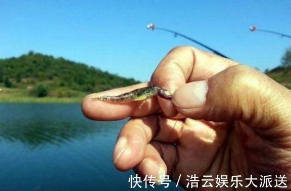 高手|野钓高手的独门技巧，专门针对杂鱼闹窝、浮漂摇摆不定的难题！