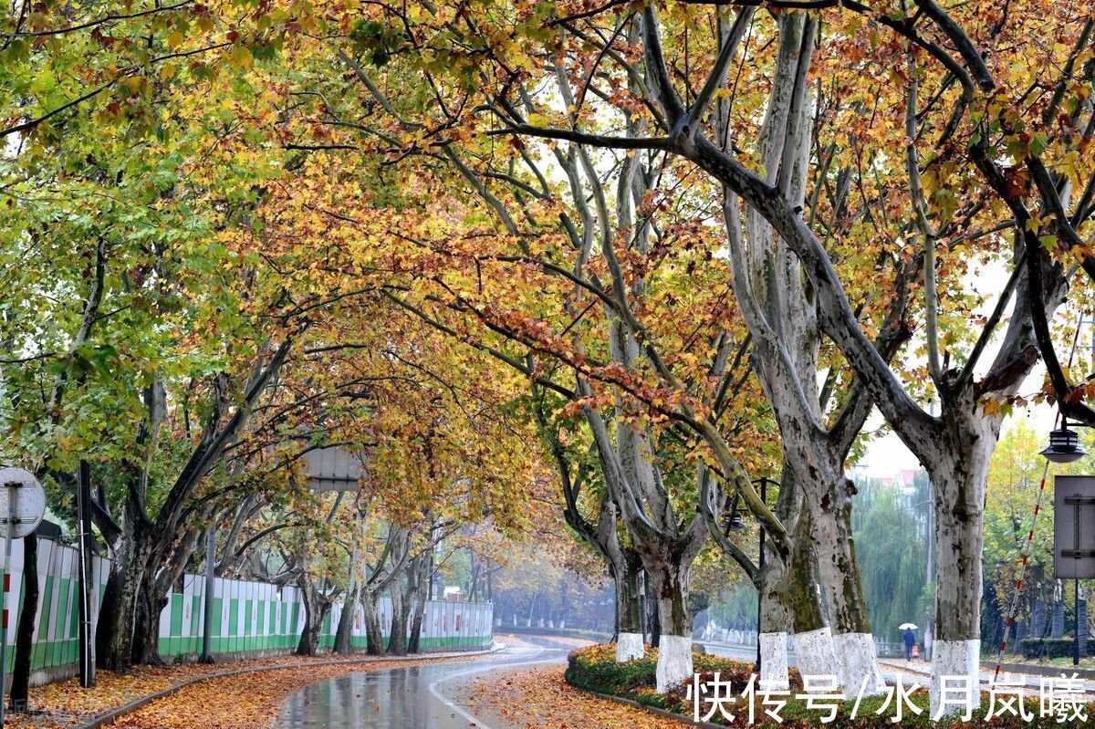 流年！次第回眸，秋雨惊心，愿岁月化为沧海，愿你我归于初见