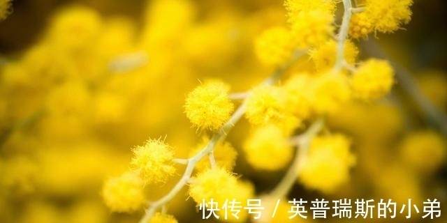 白羊座|11月期间,天降鸿福,财神进家门!好运势不断的4星座
