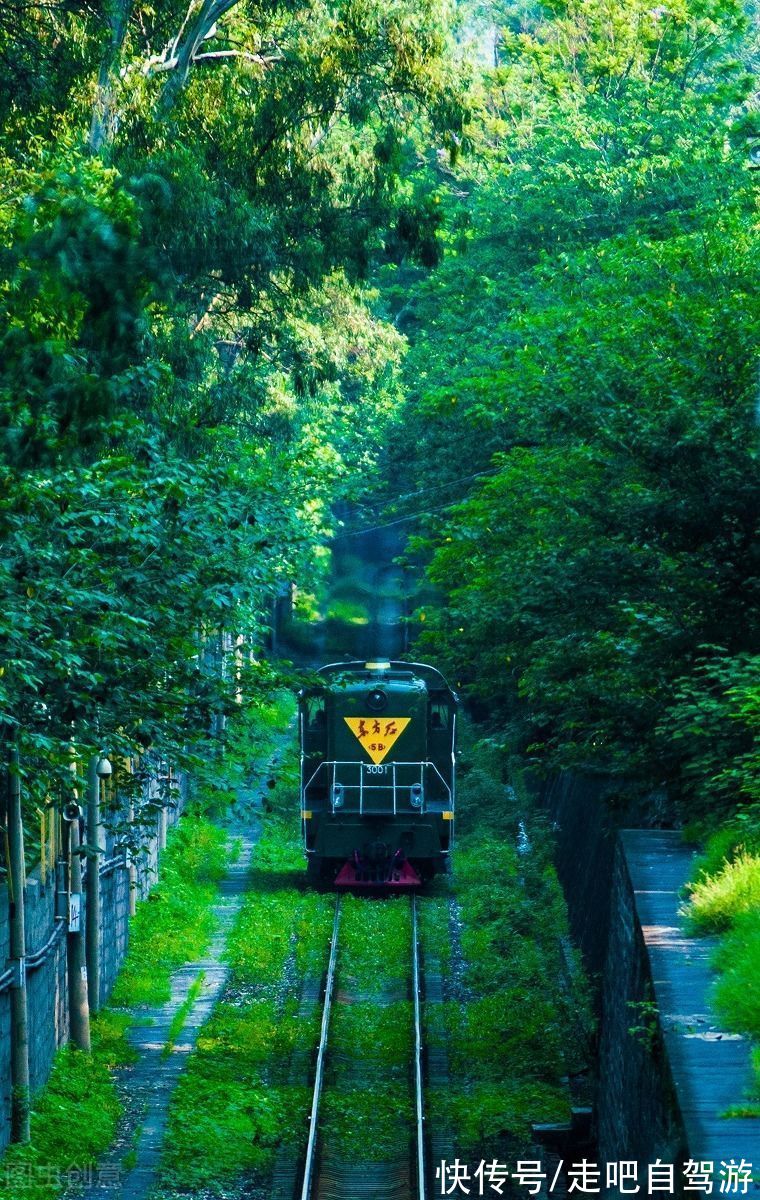 芒果|四川“春城”，以花为名，全年无冬！三亚之外的又一避寒胜地