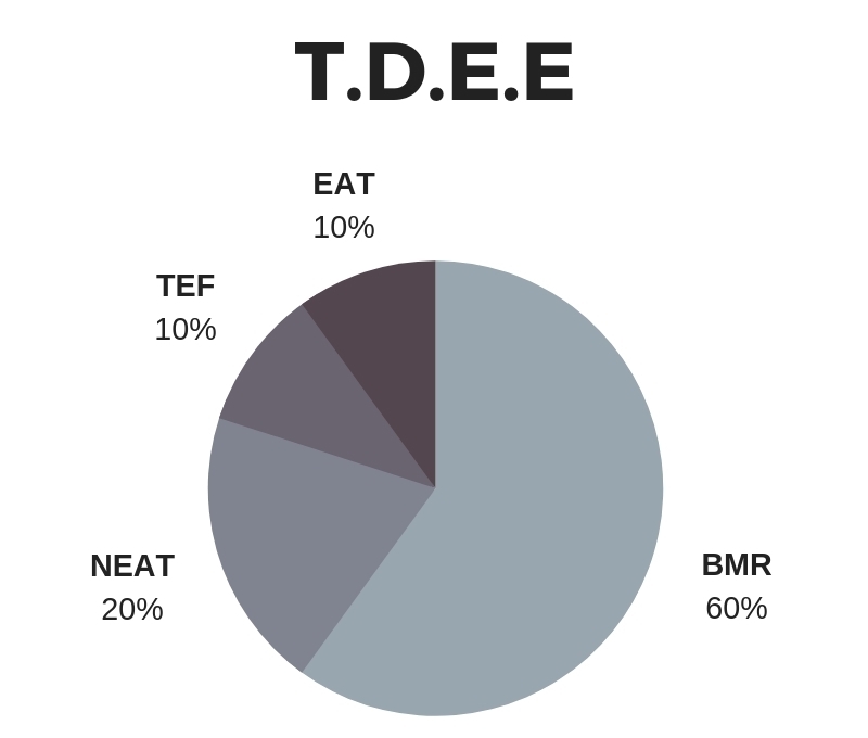 高晓松26天减重26斤,网友:怎么减肥,才让