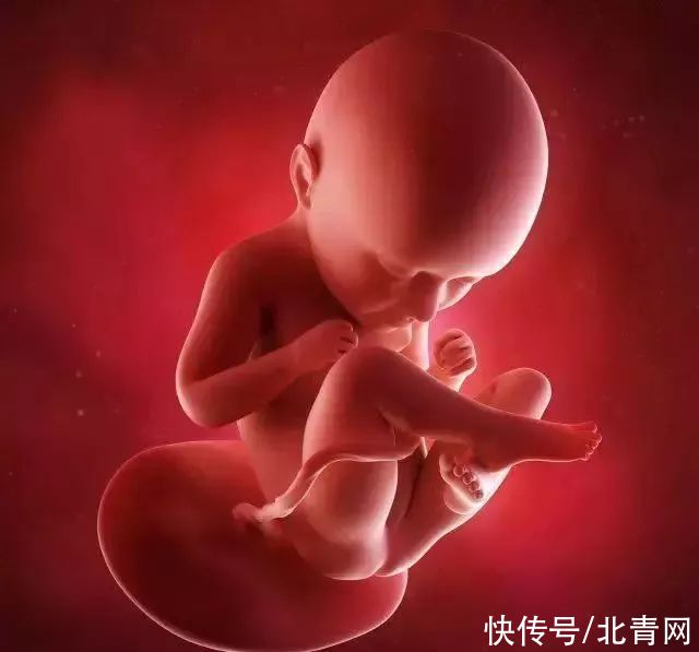 心病|宝宝经常口唇、指甲青紫？小心是先心病