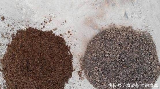 这种材料拿来养花,比你买的营养土好一百倍!这是城里人没有的