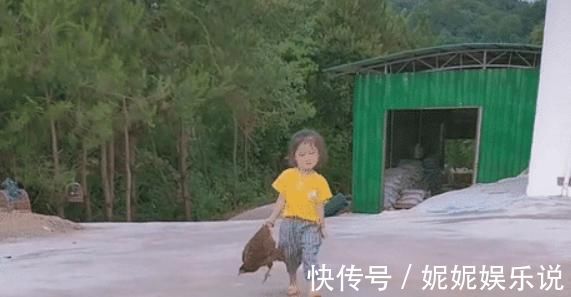 步伐|“山大王宝宝”手拎母鸡,走出六亲不认的步伐,网友:王者归来?