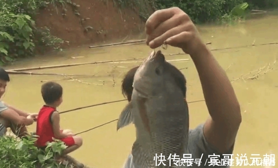钓鱼|浑水中钓鱼遇到大罗非,看清后激动得大叫起来