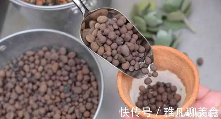 木炭|养花换盆时,多“加”1物,花卉“10年”不烂根,叶子绿,开花多