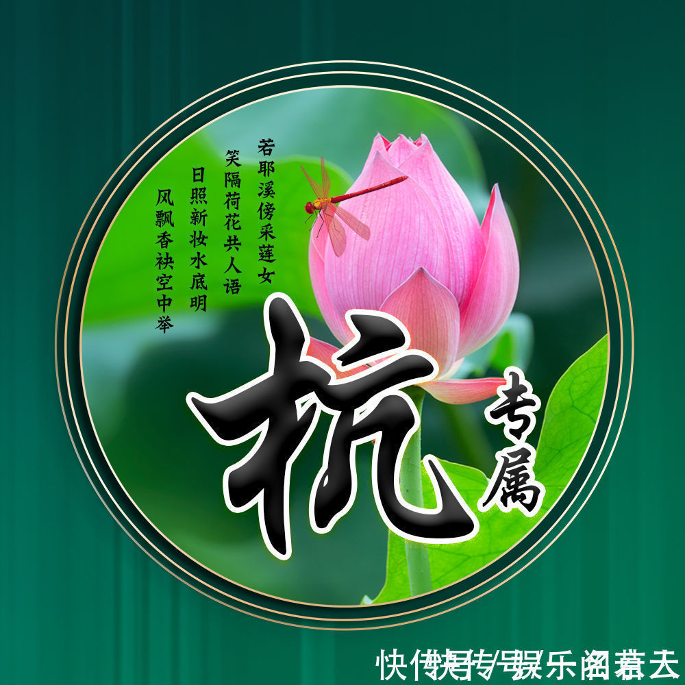 世人大!用你的姓氏当头像,20张唯美荷花大气图片,中国风华丽登场