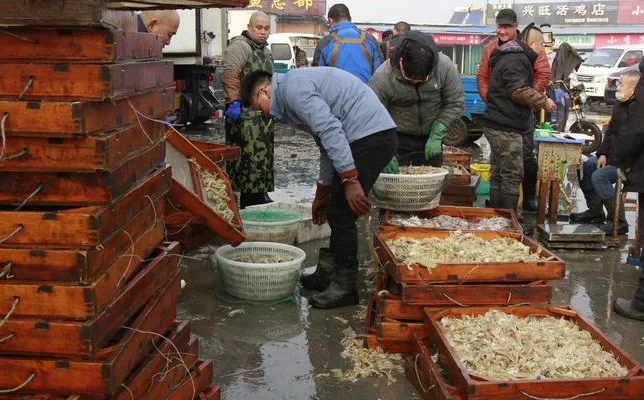 收成季！各类海鲜货足价低 更便宜的海鲜4元一斤（廉价一点的海鲜品种）