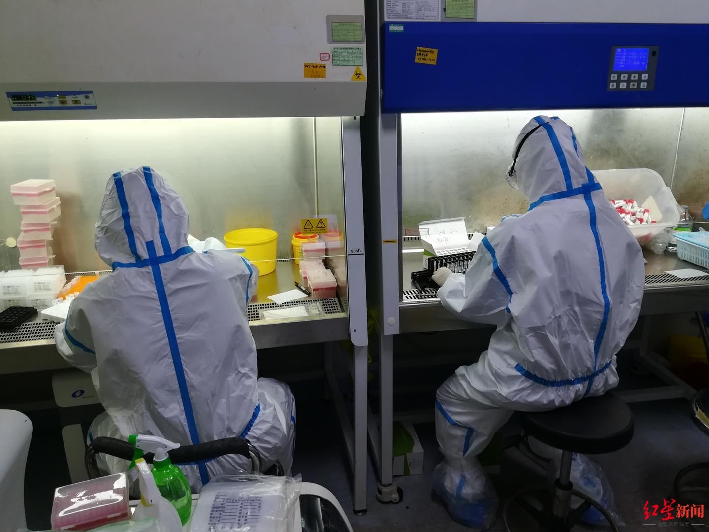 就诊|四川省人民医院披露：此轮疫情首例阳性患者就诊时未发烧，排查700多人