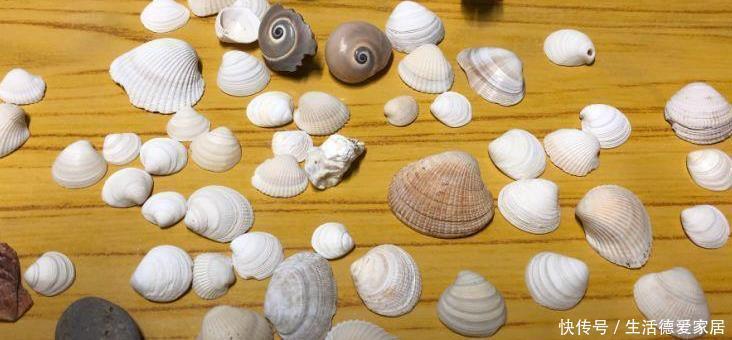 适合|花盆里加点这个,不烂根不黄叶,轻松养满盆