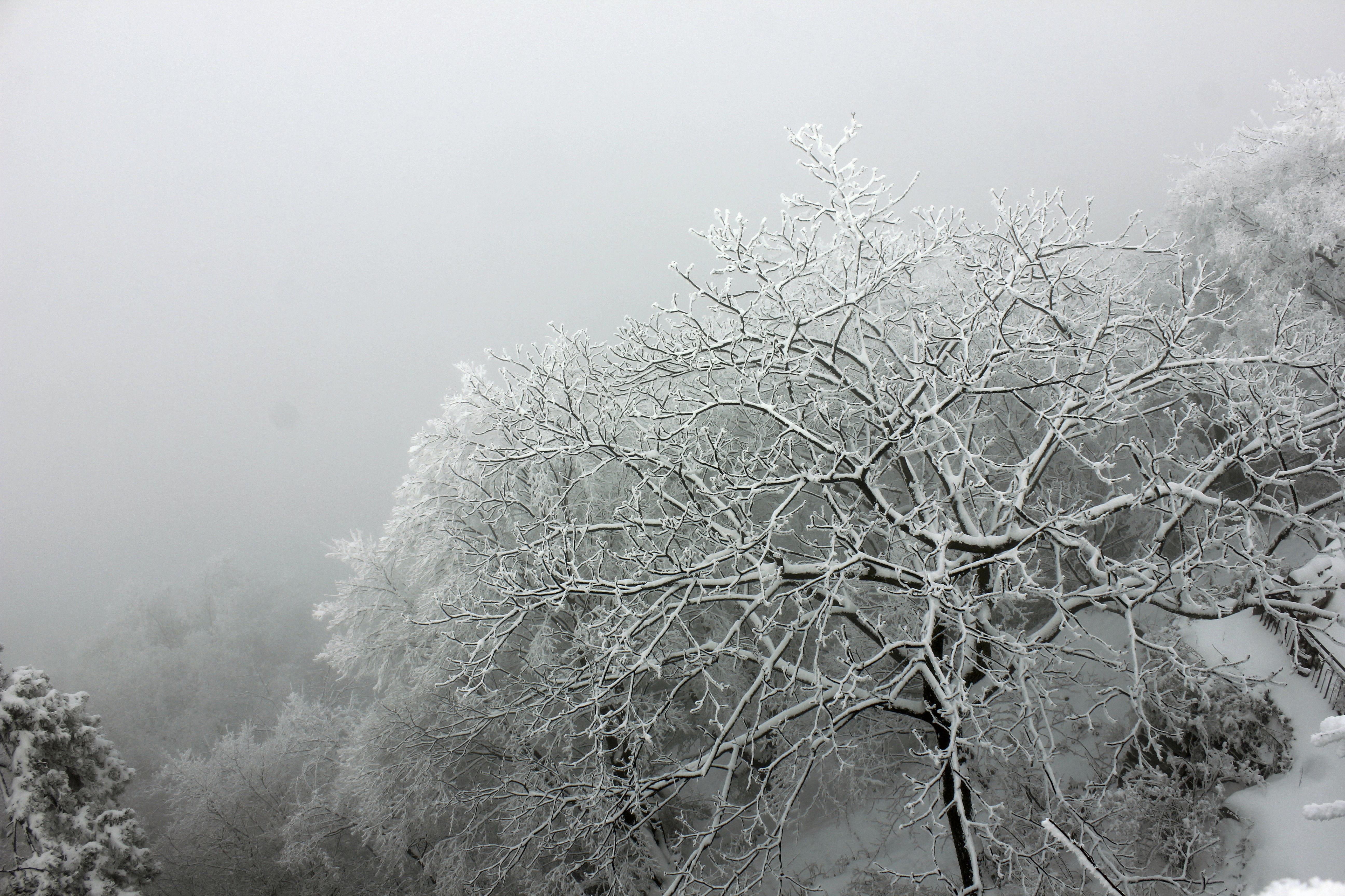 征集|【年末福利征集】雪后南五台幸遇云海